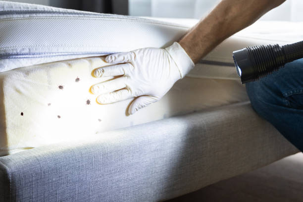 Best Pest Prevention Services  in North Rock Springs, WY
